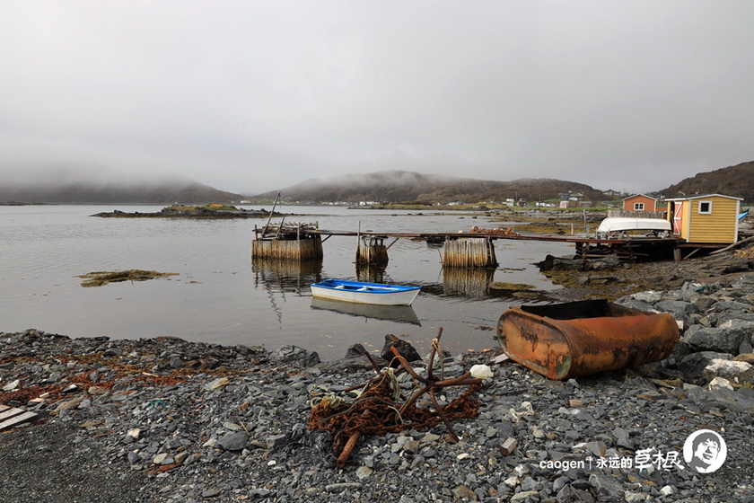 IMG_419110_调整大小