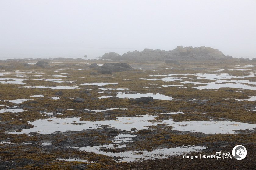 IMG_420013_调整大小