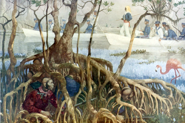 Seminole_War_in_Everglades